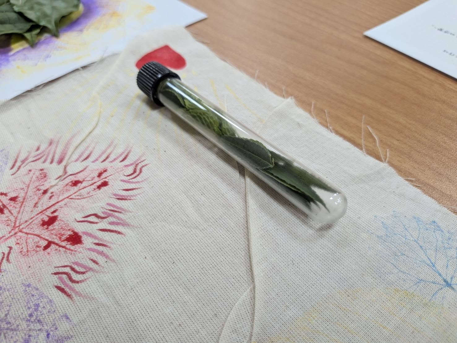 自然處方箋回顧文｜在工作場域中，創造喘息的可能